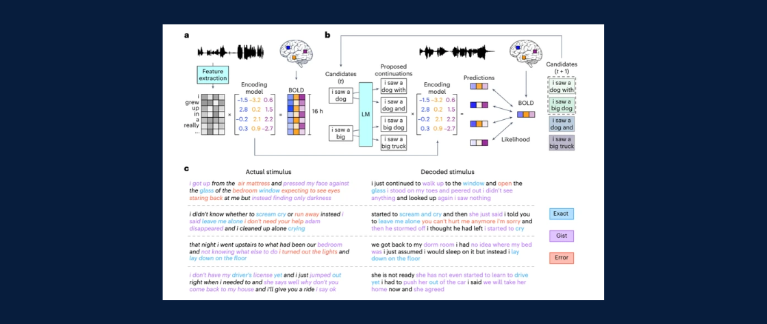 AI managed to translate a person’s thoughts into text using fMRI - screenshot